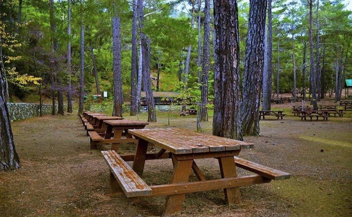 Ocupación de áreas de picnic en Chipre: Actualización detallada