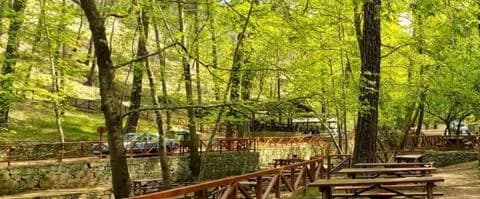 Αυξημένη πληρότητα σε εκδρομικούς χώρους στην Κύπρο