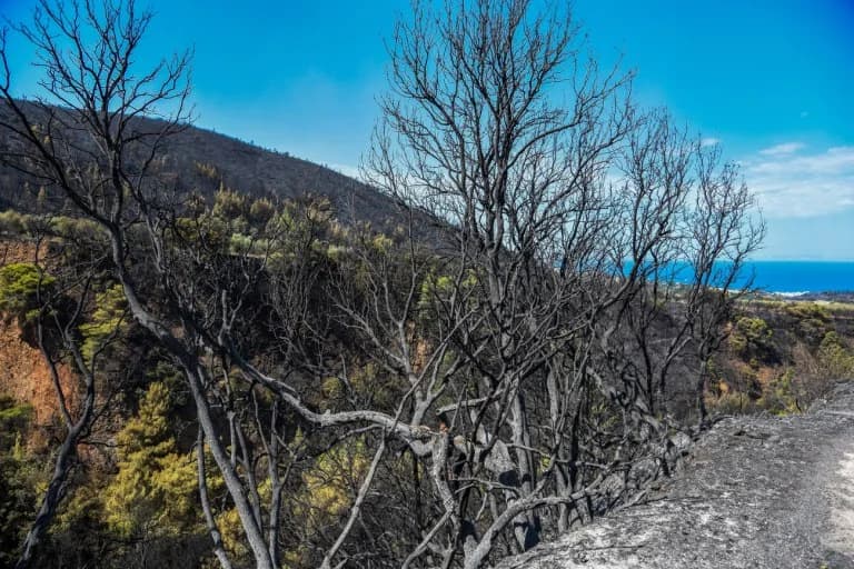 Rethymno: 53-Year-Old Arrested for Inciting Crimes Related to Fires