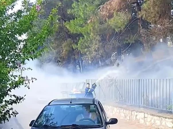 Didymoteicho: Feuer in Hain nahe 1. Gymnasium und Wohnhäusern