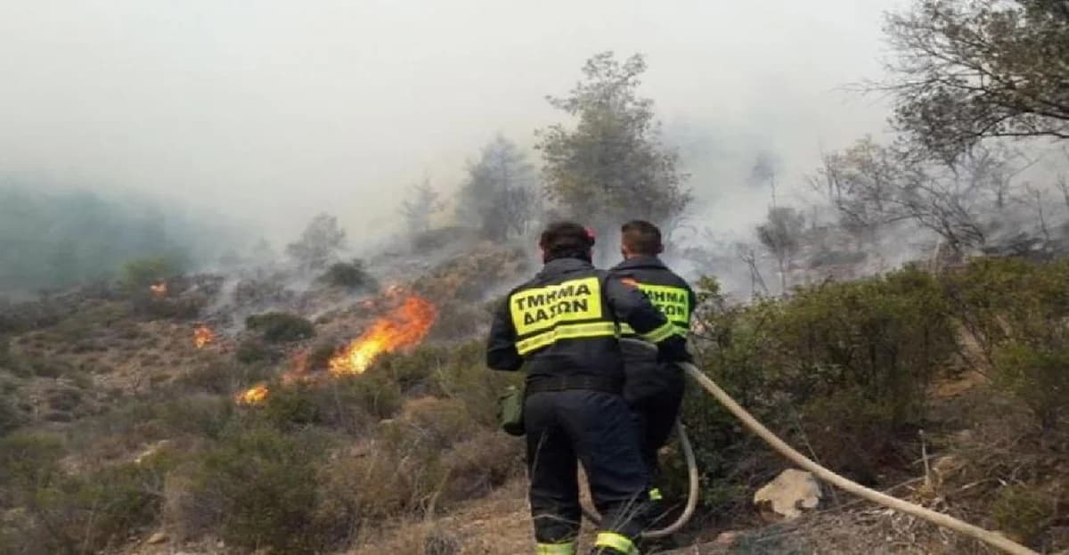 Forest Fires in Lysos and Drouseia Under Control