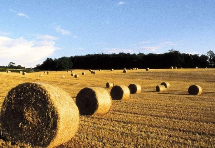Britische Landwirte protestieren gegen Erbschaftssteuer auf Höfe