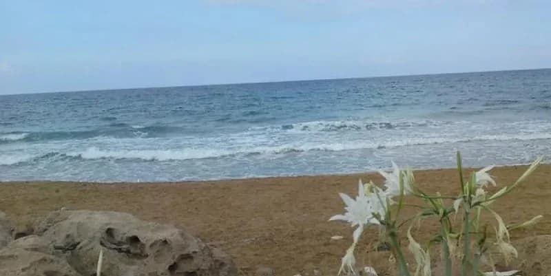 Paphos: 30-jähriger Mann am Strand von Lemba tot aufgefunden