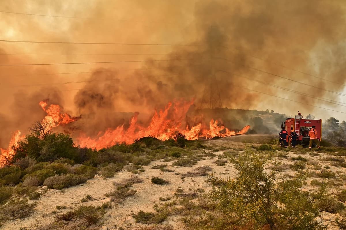 Forest Fire in Delikipos, Larnaca – Immediate Response