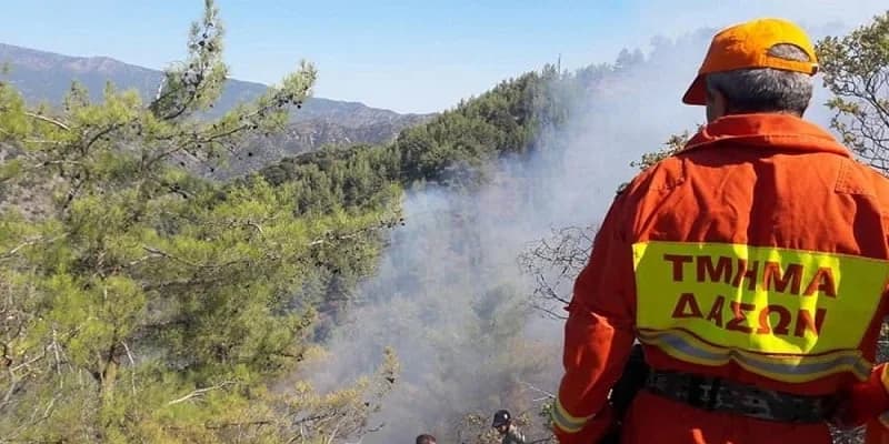 Пожар в Деликипосе, Кипр, под контролем – уничтожена растительность