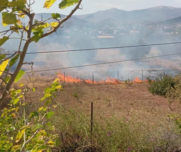 Feuer in Agia Marina, Koropi – Sofortiger Einsatz der Feuerwehr
