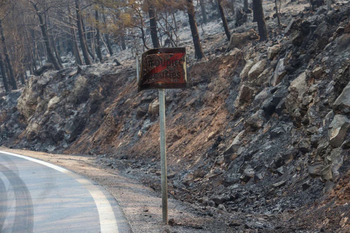 Chios: Over 69,000 Acres Burned