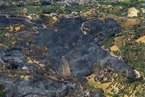 Patras: Drone footage reveals devastating aftermath of fire