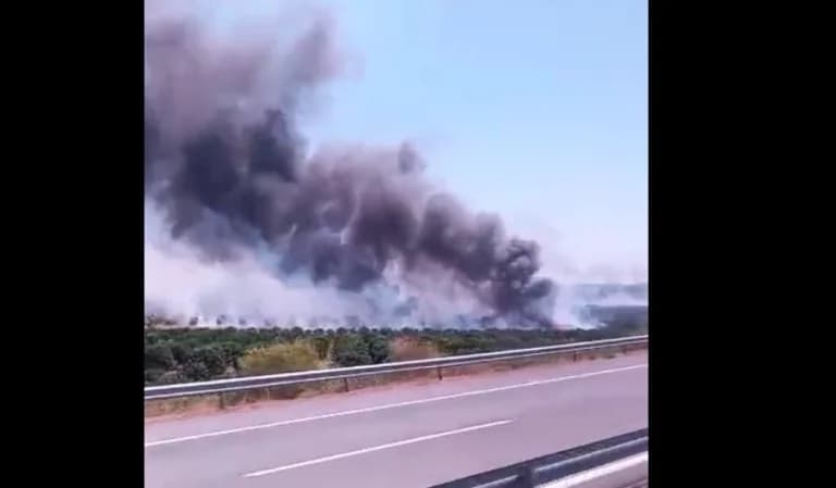 Agrinio: Incendio en Ionia Odos cerca de Gouriotissa