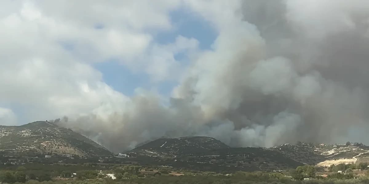 Πυρκαγιά στην Τσάδα Πάφου: Μάχη με τις φλόγες, απειλήθηκαν κατοικίες
