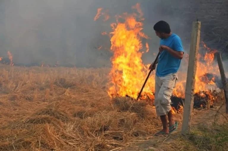 מעצרים וקנסות על שריפות באטיקה, כלקידיקי ופרסלה