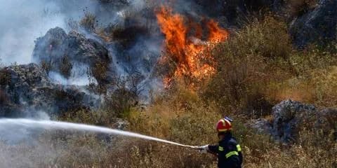 טלה: קשיים ביצירת אזורי הגנה מפני אש