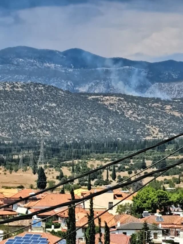 Waldbrand in Kalo Pigadi, Fokida – Hubschrauber im Einsatz