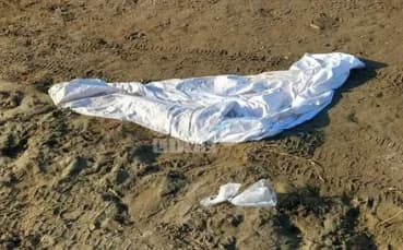 Lárnaca: Vandalismo en la playa para perros – Basura y daños indignan