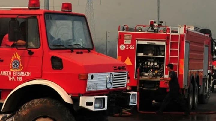 Φωτιά σε δασική έκταση στη Μεγαλόπολη Αρκαδίας