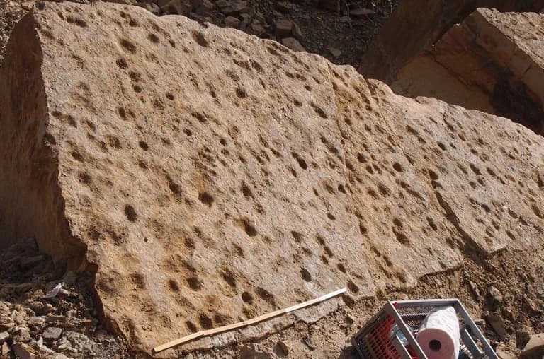 Huellas fósiles de 400 millones de años podrían haber sido creadas por los primeros peces en tierra