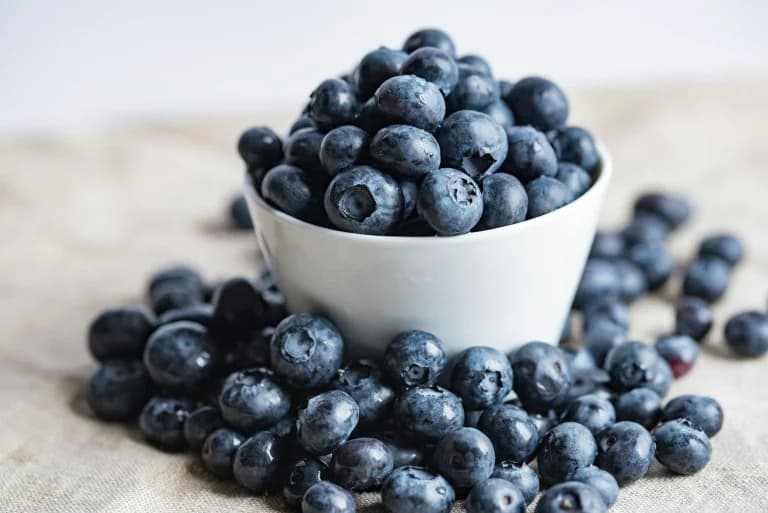 Arándanos: Un Superalimento con Propiedades Antioxidantes