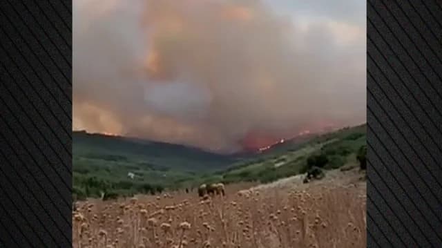 Λάρισα: Σε εξέλιξη η πυρκαγιά στο Αμύγδαλο Τυρνάβου
