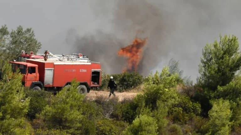 Τύρναβος: Μάχη με διάσπαρτες εστίες στο Αμύγδαλο