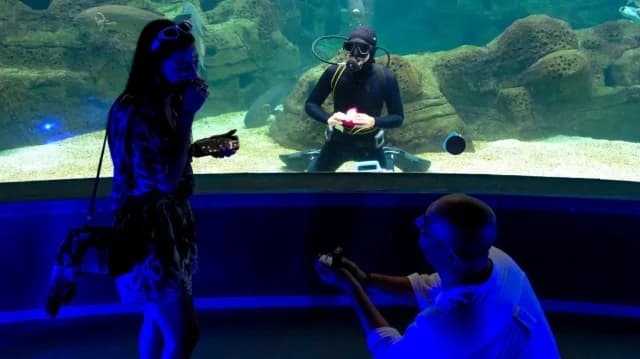 Crete: Wedding Proposal at Heraklion Aquarium