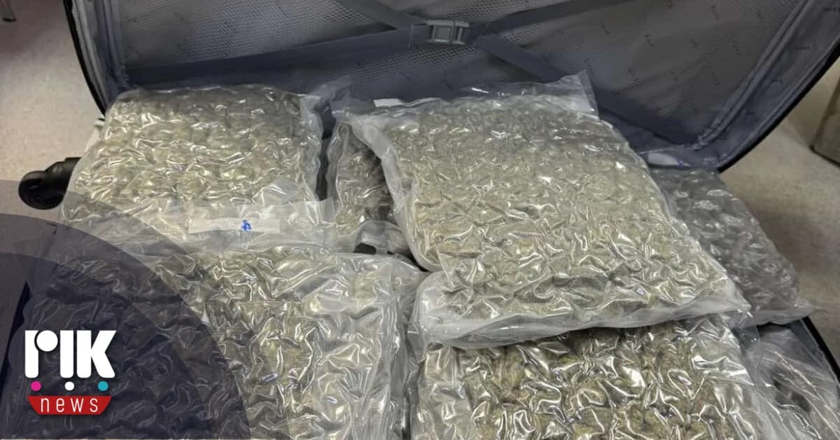 Große Menge Cannabis am Flughafen Larnaka beschlagnahmt