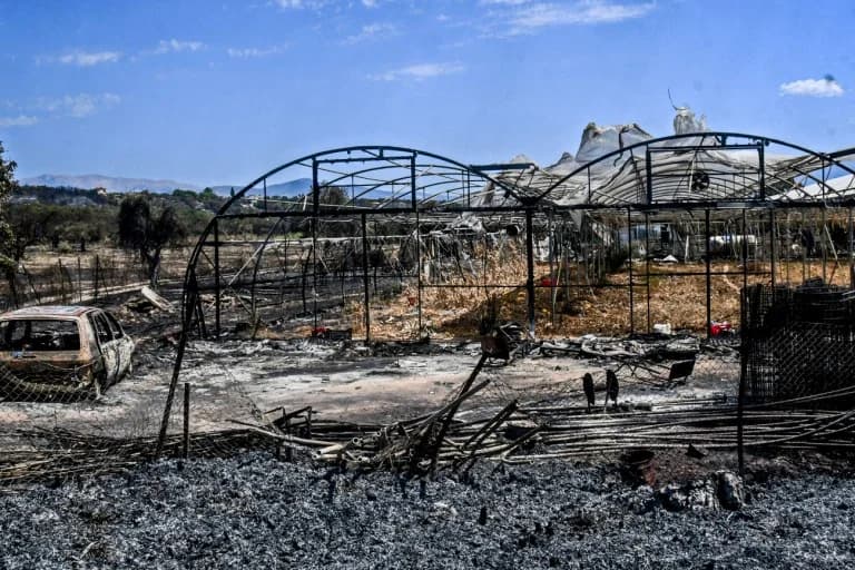 Δ. Μπιάγκης: Πρόληψη πυρκαγιών και ακρόαση των ειδικών