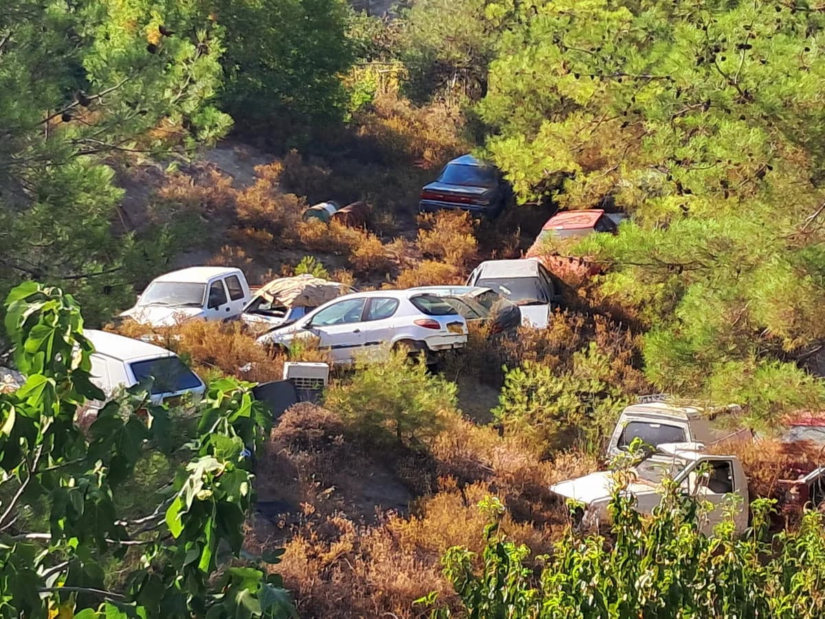 Autofriedhof im Wald von Limassol: Dringender Handlungsbedarf