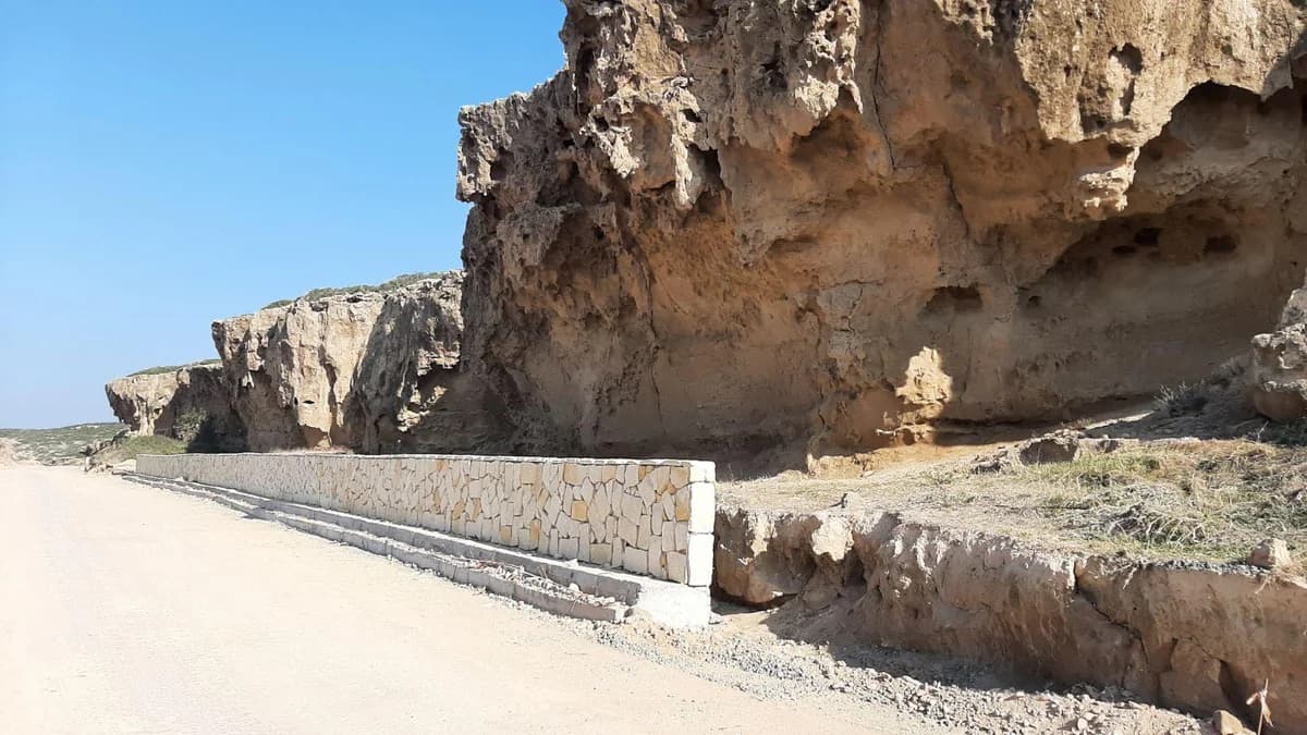 Περιβαλλοντικές Οργανώσεις Επικρίνουν το Τμήμα Δασών για τον Ακάμα