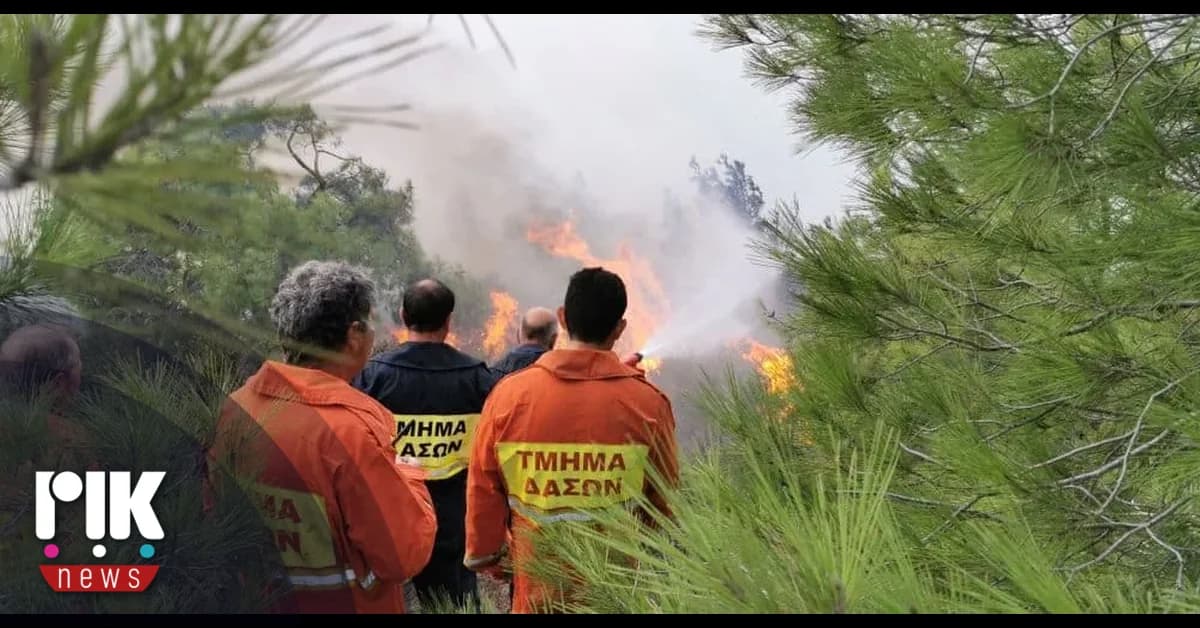 Το Τμήμα Δασών αναλαμβάνει τις πυρκαγιές υπαίθρου