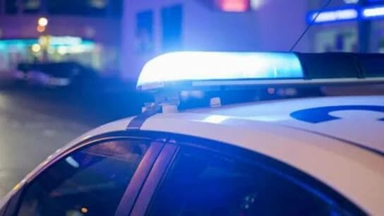 ΕΛ.ΑΣ: Δέκα συλλήψεις σε επιχείρηση στη Φυλή