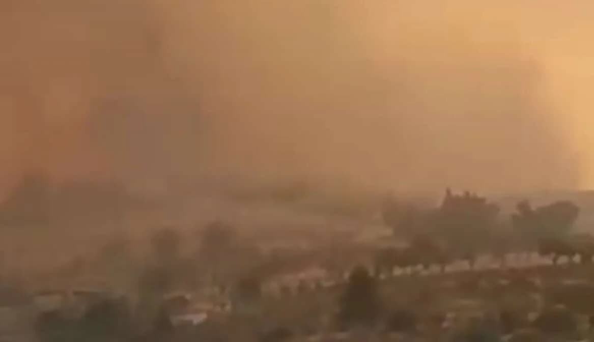 Brand in Limassol: 80.000 € für die Wiederherstellung der TEPAK-Farm in Lofou