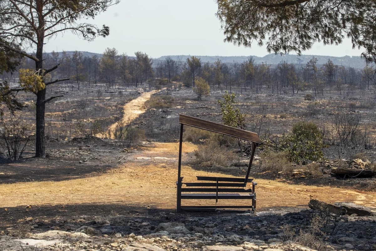 Πάνω από 10 εκατ. στρέμματα καμένα στην ΕΕ από πυρκαγιές το 2025 – Ρεκόρ για Κύπρο
