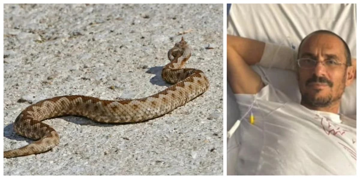 Limassol: Ciudadano Rescatado Tras Mordedura de Serpiente e Insolación