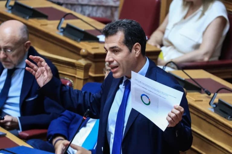 Ειδική εισηγήτρια ΟΗΕ: «Αυθαίρετες» οι παρεμβάσεις Πλεύρη για ΜΚΟ