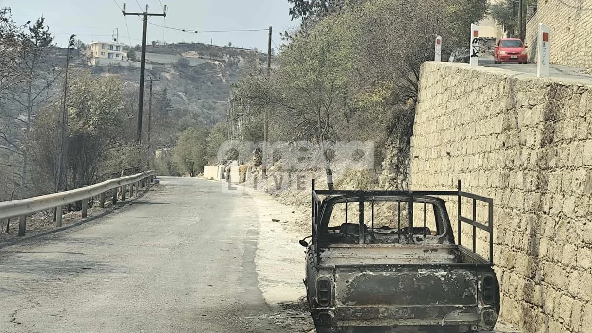 הושקה פלטפורמה מקוונת לחקלאים ומגדלי בעלי חיים שנפגעו משריפה בלימסול