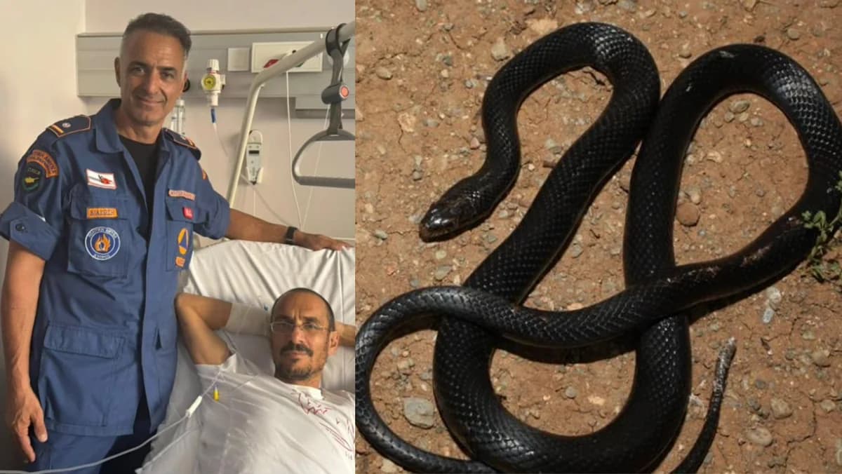 Chipre: Menelaos Stavrinidis Rescatado por Defensa Civil – Mordedura de Serpiente e Insolación