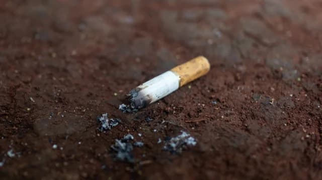 韩国：乱扔烟头后，欺诈嫌疑人被捕