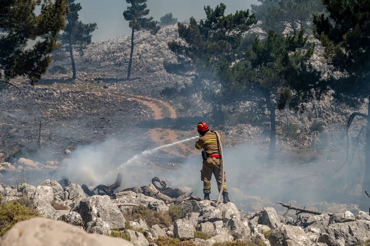 Europa: Incendios forestales queman 1 millón de hectáreas, un área mayor que Chipre