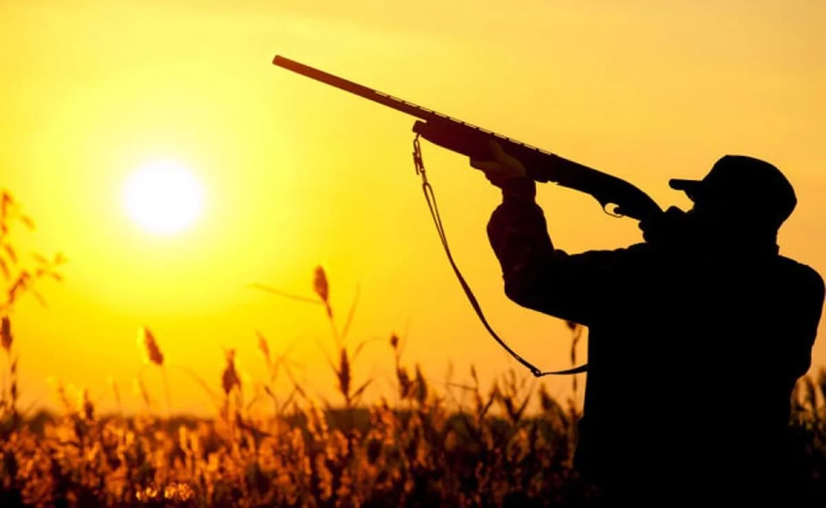 Jagdsaison eröffnet: Richtlinien und Vorsichtsmaßnahmen
