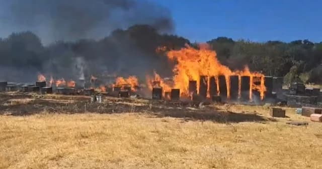 Θεσσαλονίκη: Φωτιά στον Χορτιάτη από μελίσσια – Άμεση κατάσβεση