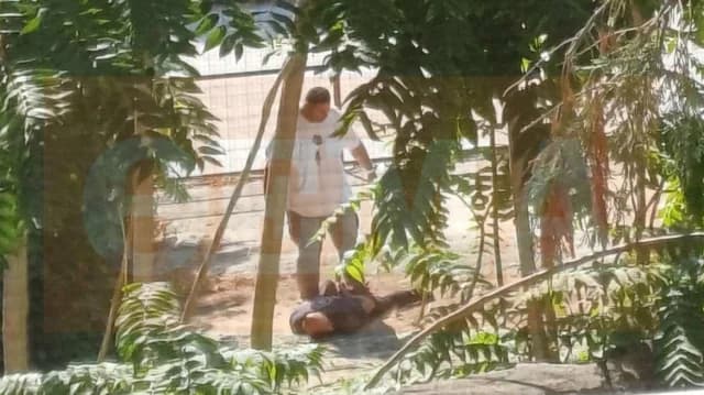 Volos: 40-jähriger Mann wegen Mordes an Ehefrau verhaftet – Zeigte keine Reue