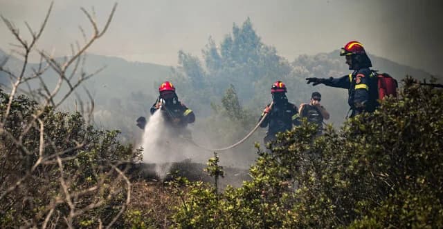 Eurostat: Grecia, segunda en la UE en fuerzas de extinción de incendios