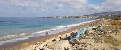 מכרז מרינה פאפוס: ההכרזה צפויה בתחילת ספטמבר