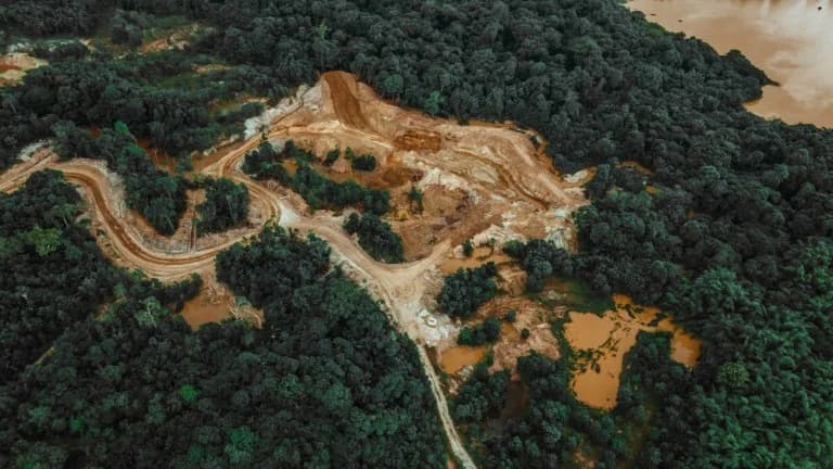 La deforestación vinculada a medio millón de muertes en 20 años