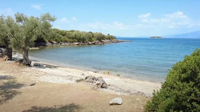 Pilion: Streit um Nacktheit am Strand führt zu drei Verhaftungen