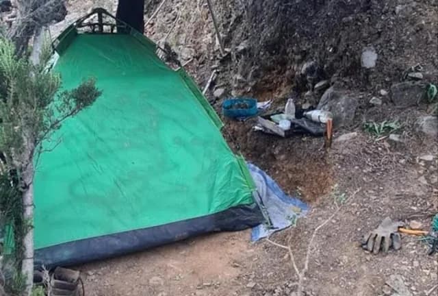 Χανιά: Μεγάλη χασισοφυτεία σε φαράγγι – Δύο συλλήψεις