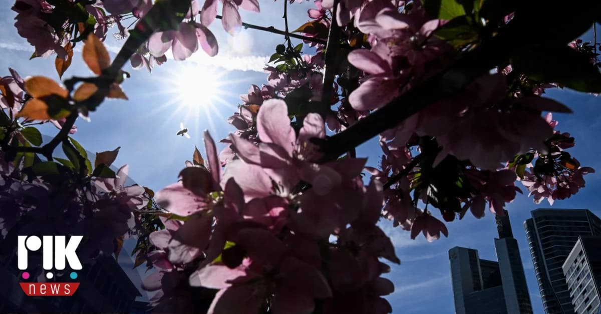 Weather Forecast: Increased Clouds and High Temperatures