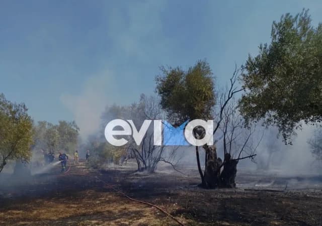 Fire in Agricultural Area in Northern Evia