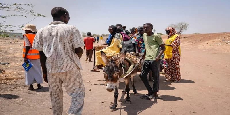 Humanitäre Katastrophe in El Fasher: Kinder sterben an Hunger und Durst