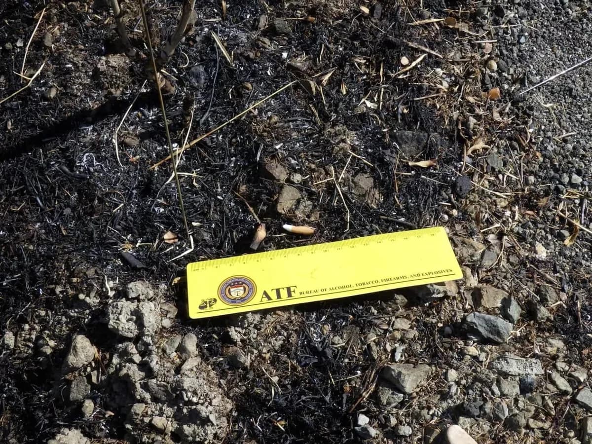 Brand in Malia: Zigarettenstummel als Ursache von Experten identifiziert